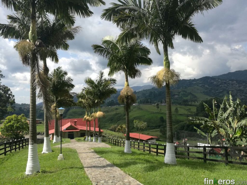 ALQUILO FINCA CERCA A TERMALES DE SANTA ROSA - Finca en Santa Rosa de Cabal, Risaralda